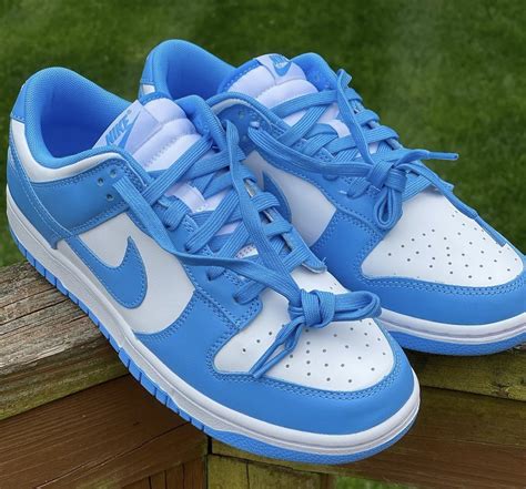 nike dunk shoe